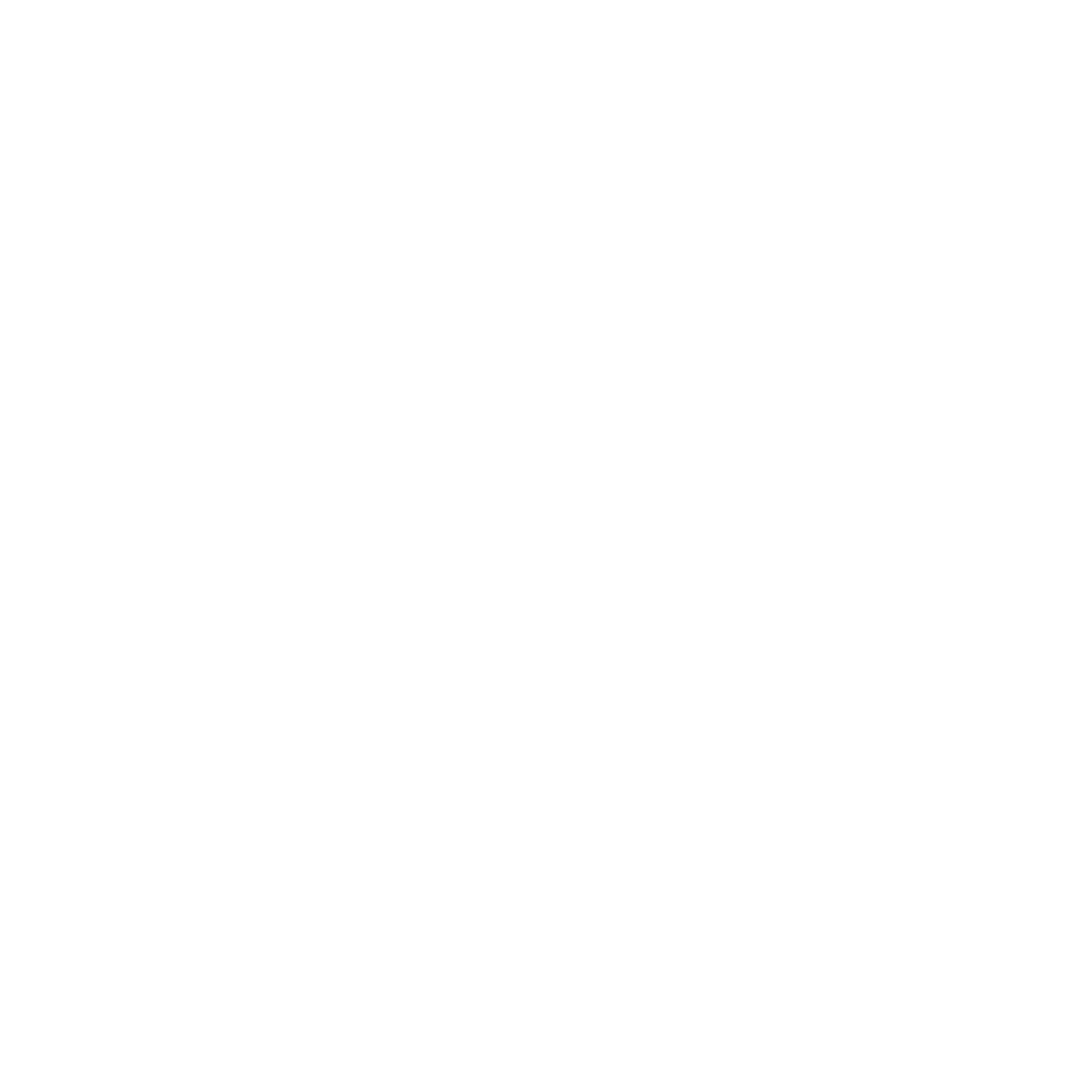 chauffeur-prive-vtc-taxi-michel-touri-transport-aeroport-perpignan-pyrénées-orientales-66