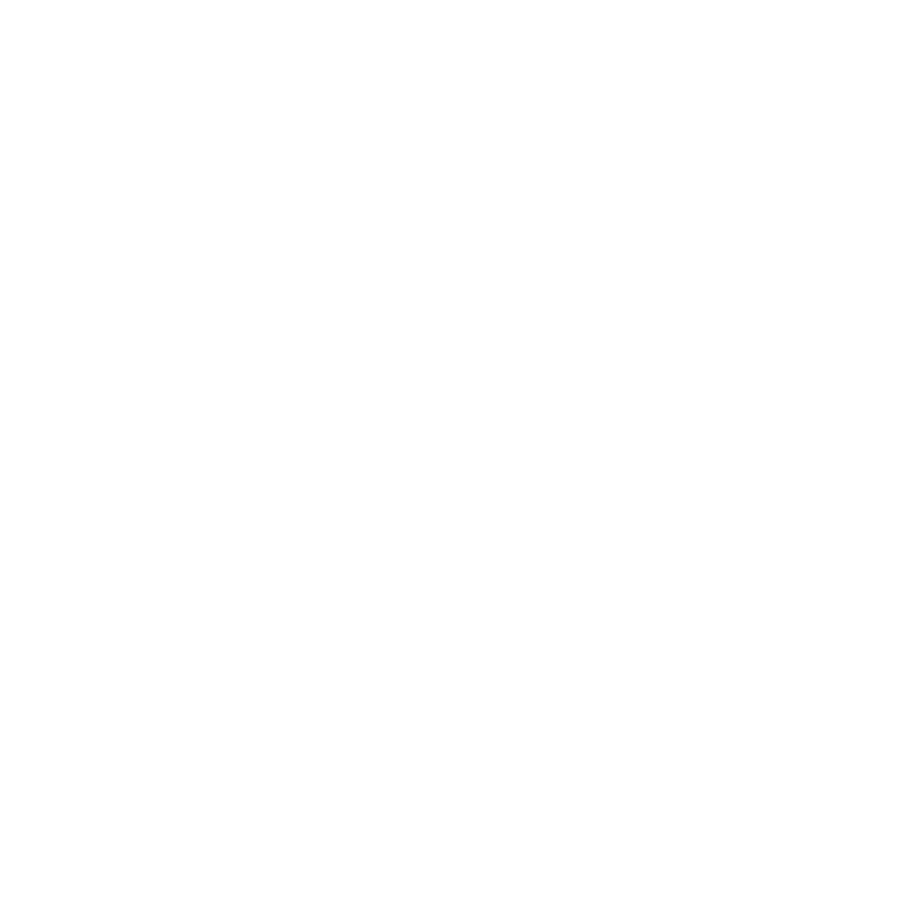 chauffeur-prive-vtc-taxi-michel-touri-transport-aeroport-perpignan-pyrénées-orientales-66