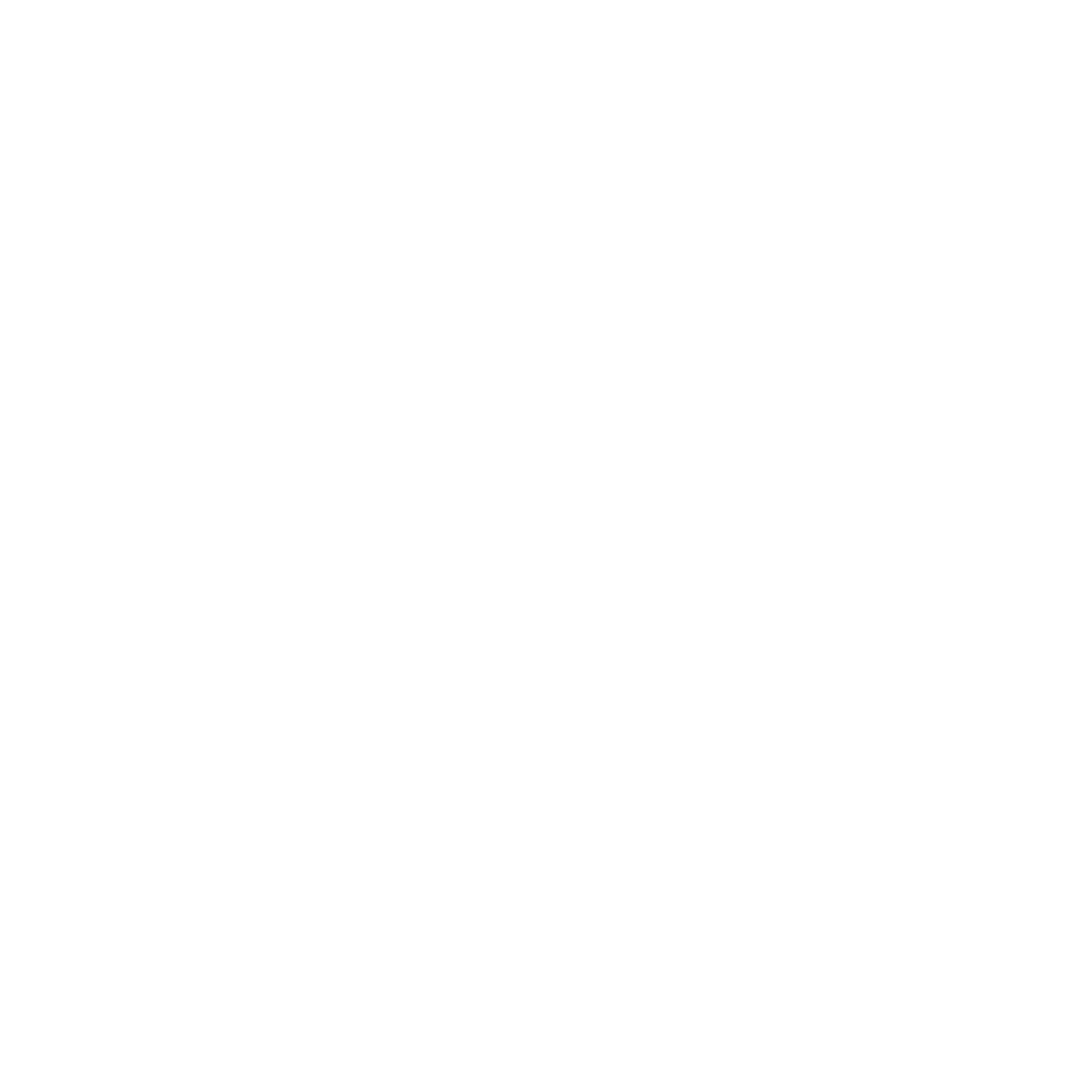 chauffeur-prive-vtc-taxi-michel-touri-transport-aeroport-perpignan-pyrénées-orientales-66