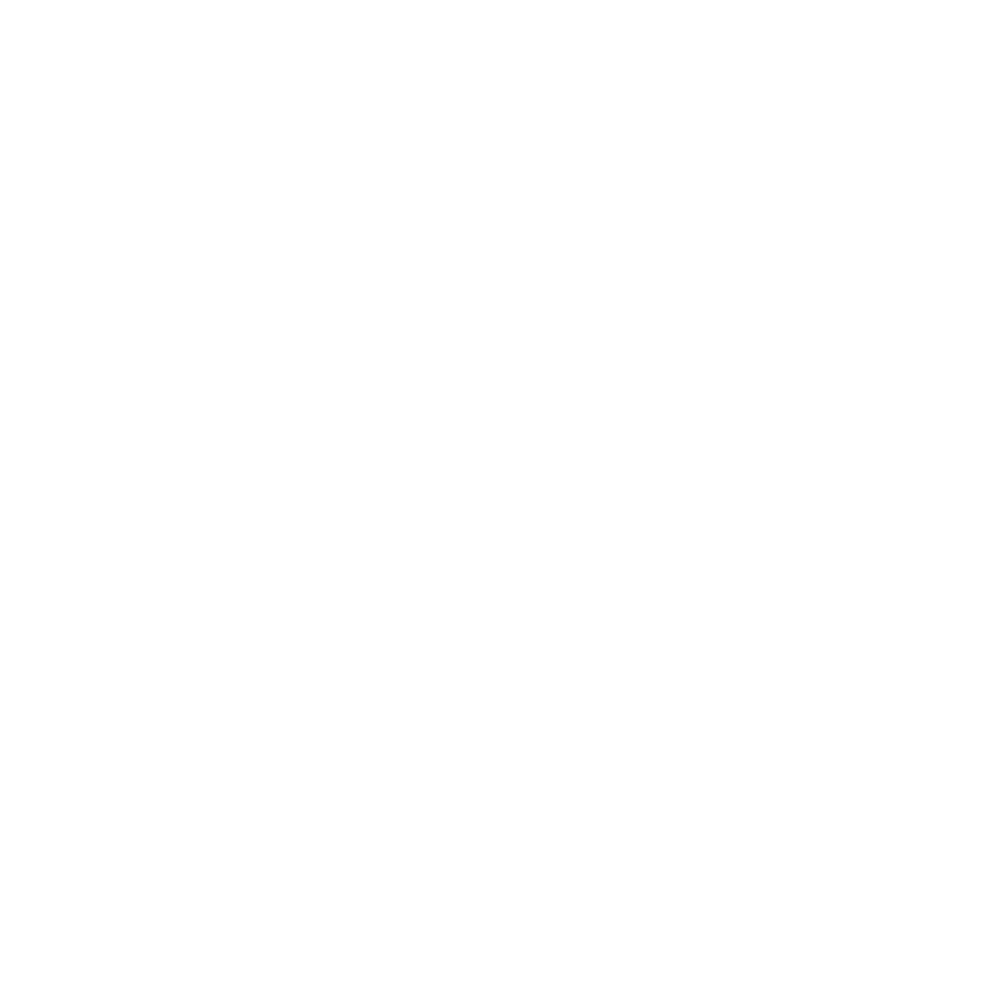 chauffeur-prive-vtc-taxi-michel-touri-transport-aeroport-perpignan-pyrénées-orientales-66